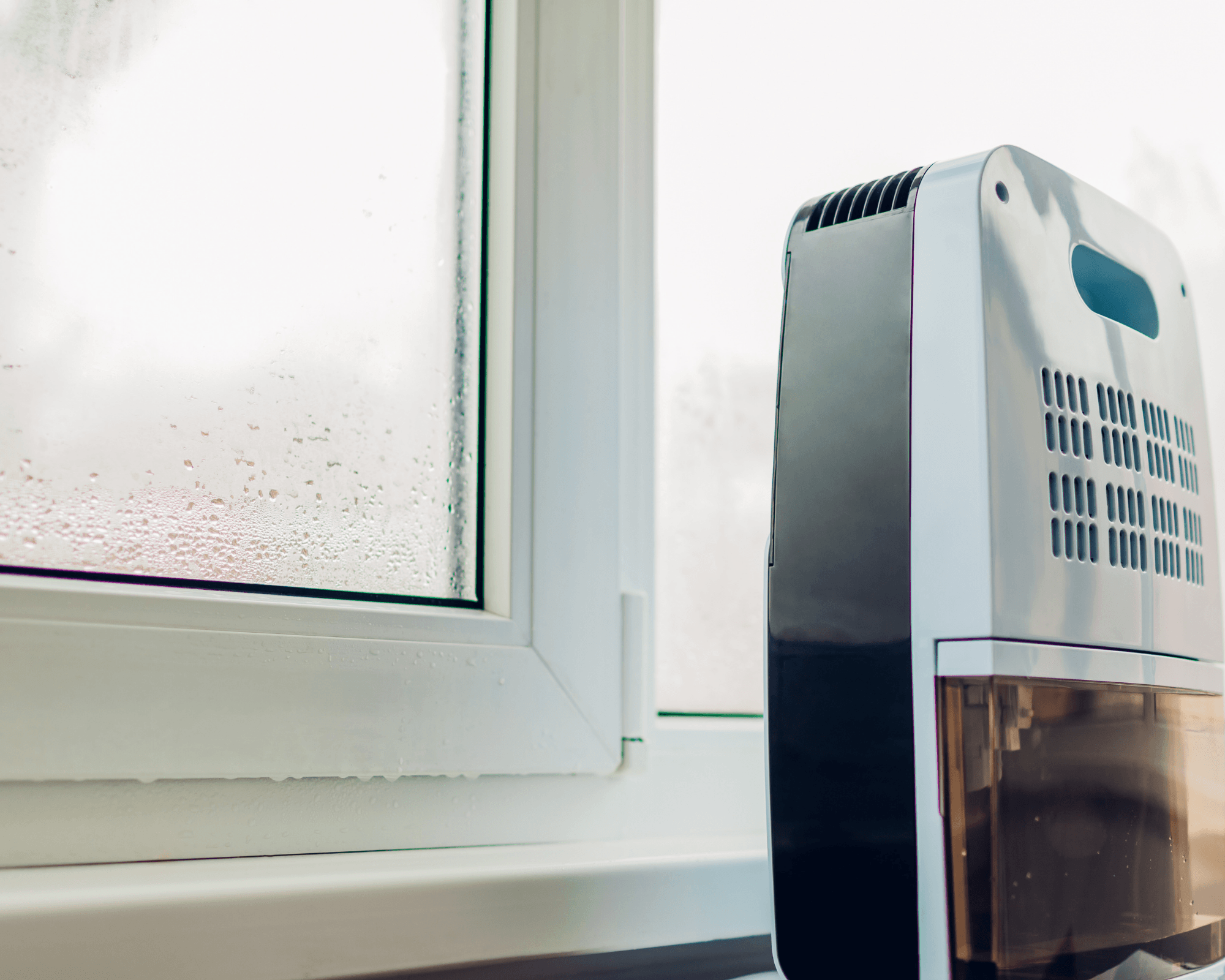 Expertise humidité Expertise humidité