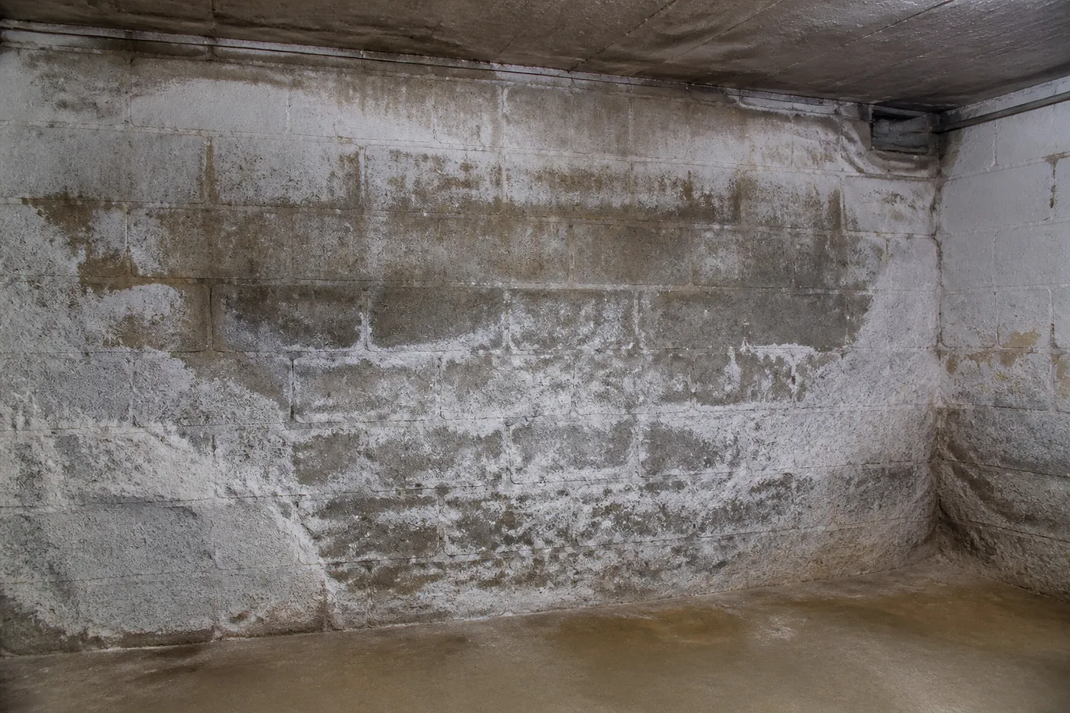 Mur de cave avec traces d humidite et salpetre