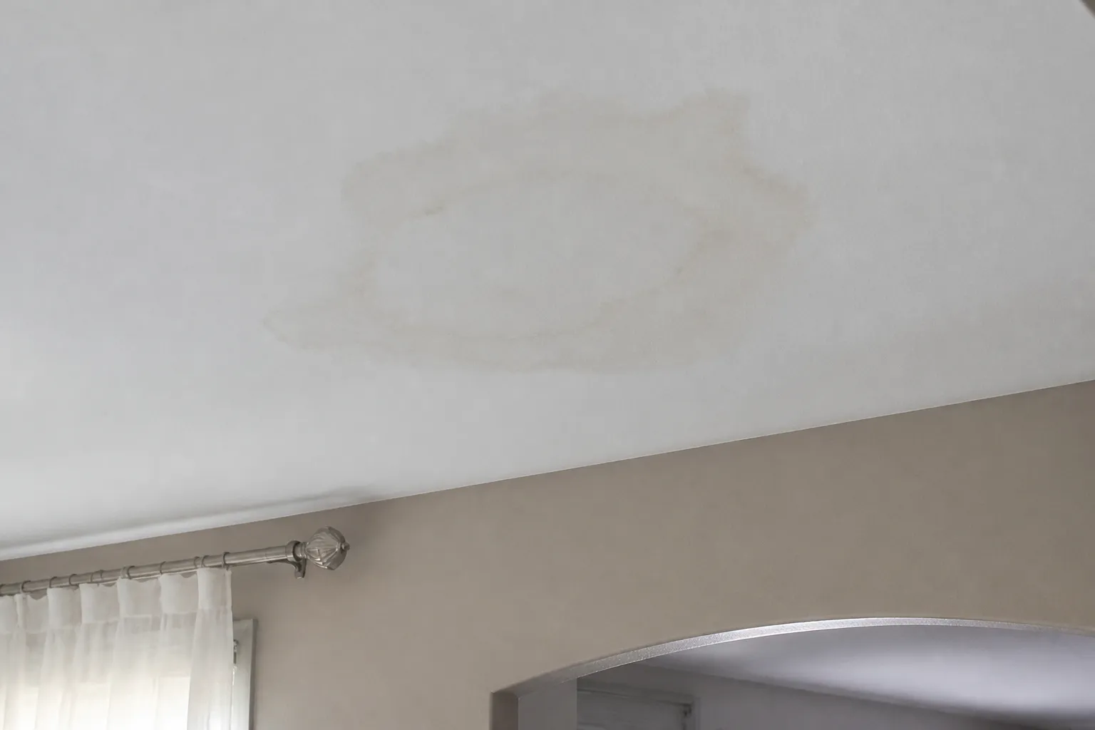 Auréole d humidite au plafond d un sejour