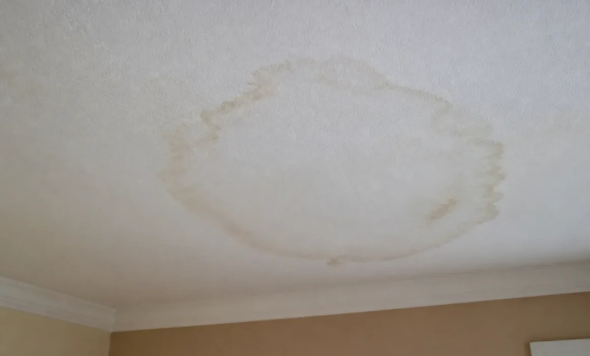 "Plafond