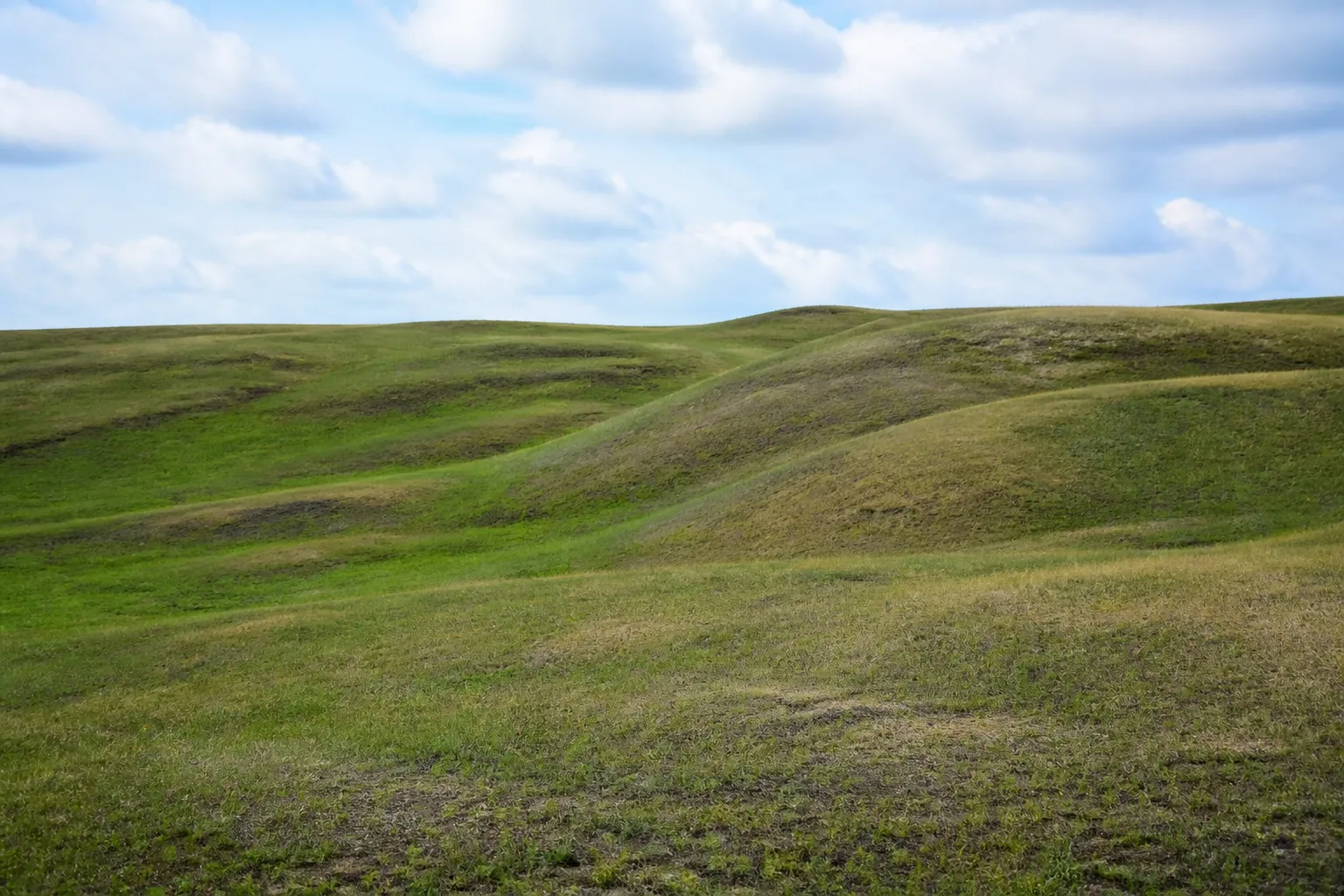 Terrain en pente douce avec ondulations du sol