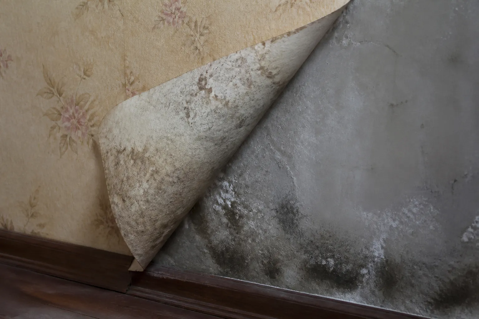 Papier peint decolle revelant un mur humide
