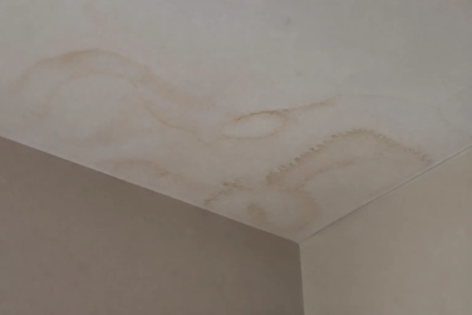 Trace d infiltration au plafond sous une toiture